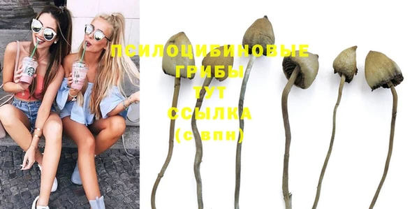 молекула духа Горняк