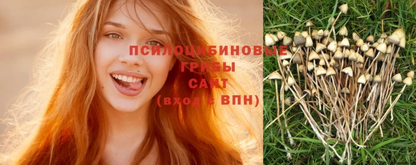 кристаллы Гусев