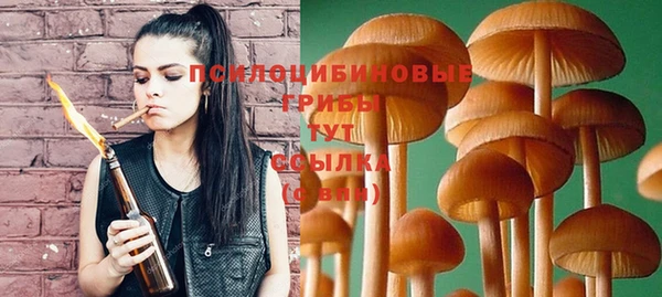 молекула духа Горняк