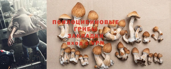 молекула духа Горняк