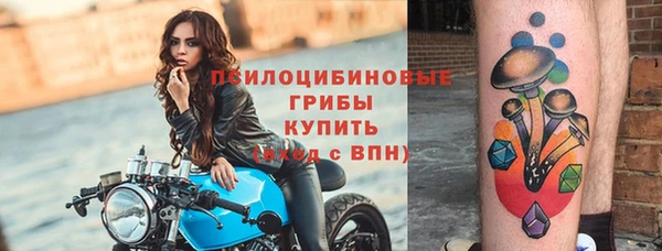 Альфа ПВП Горнозаводск