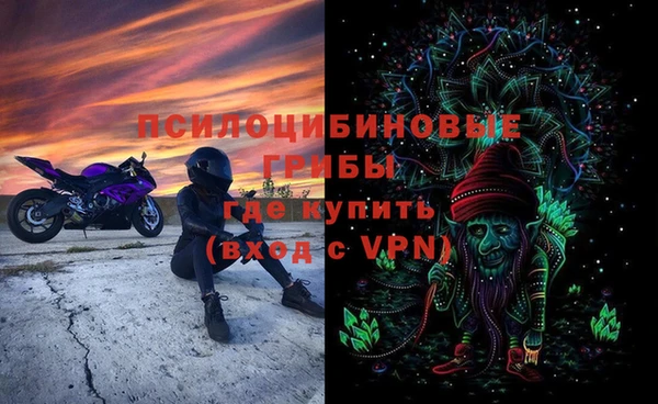 молекула духа Горняк