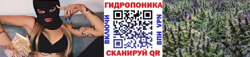 Канабис OG Kush  Купить где  Мирный 